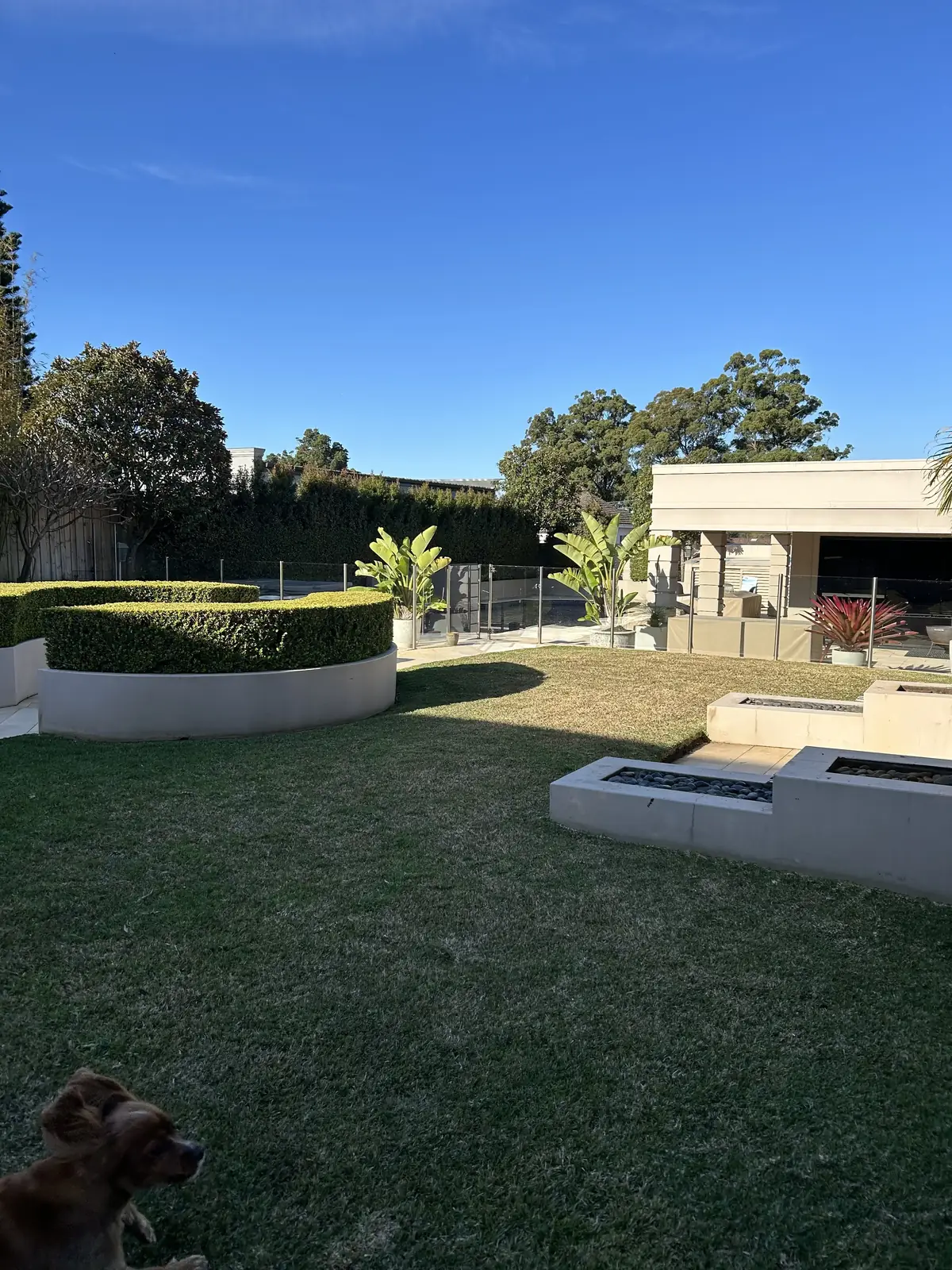 Garden maintenance Toongabbie — tidy lawn, hedge and garden bed on a sunny day