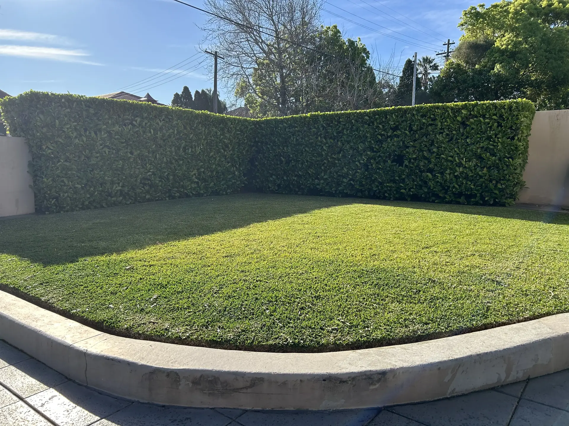 Professional lawn mowing Sydney — freshly mown lawn and clipped formal hedge by Greater Sydney Landscapes