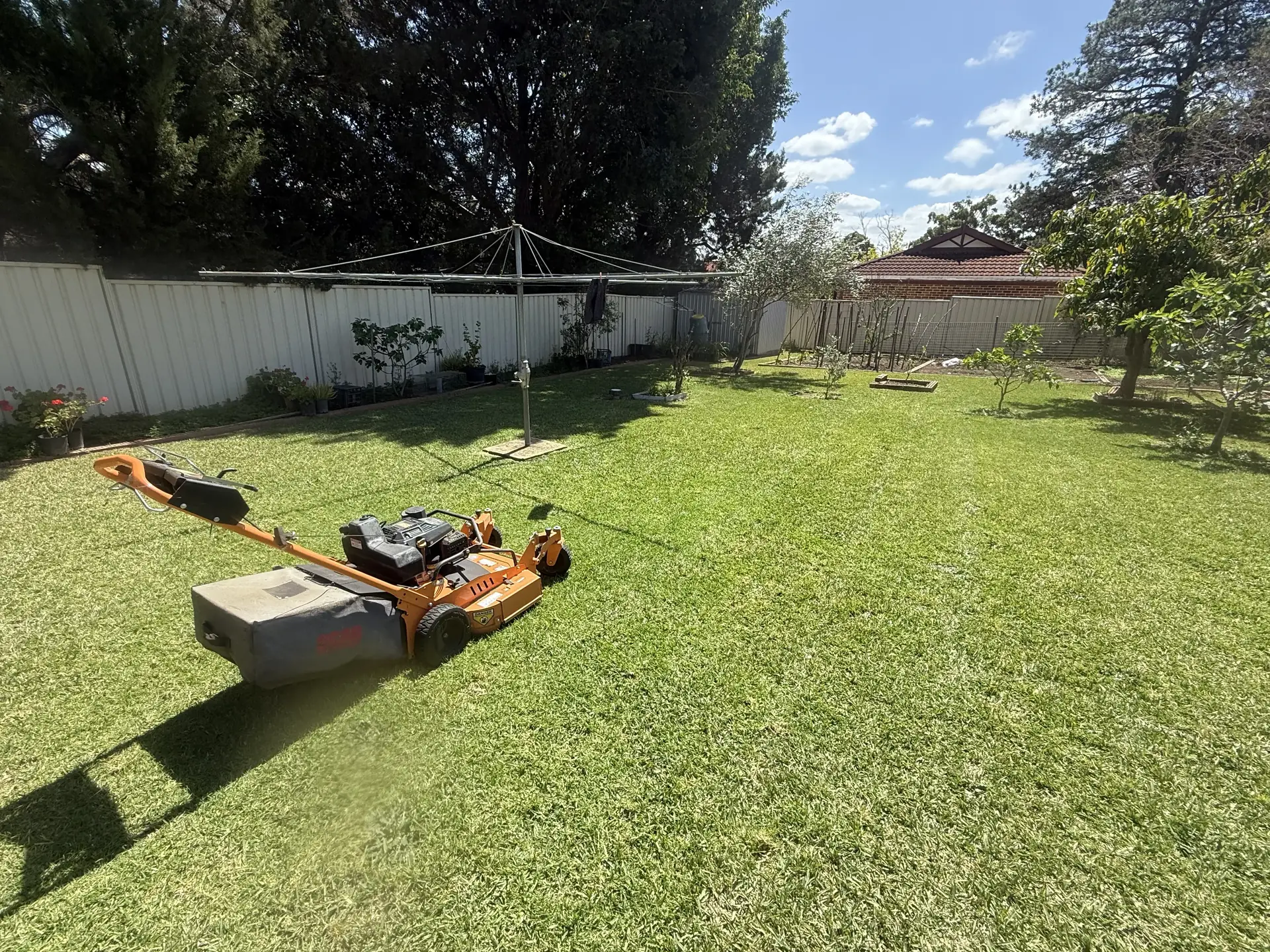 Lawn mowing Sydney — push mower on a freshly cut backyard lawn in Western Sydney