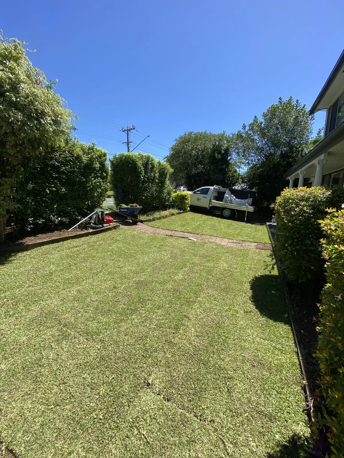 Lawn mowing Parramatta — striped, freshly mown lawn alongside a trimmed hedge