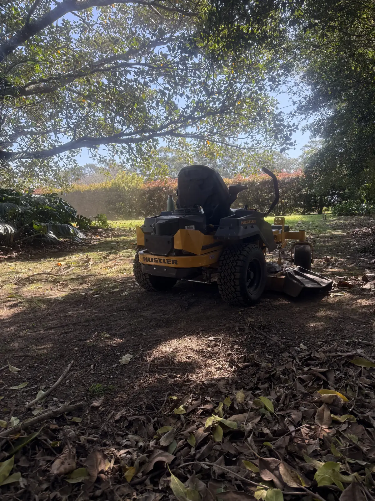 Ride-on mower clearing leaf litter under trees on an acreage block in Dural